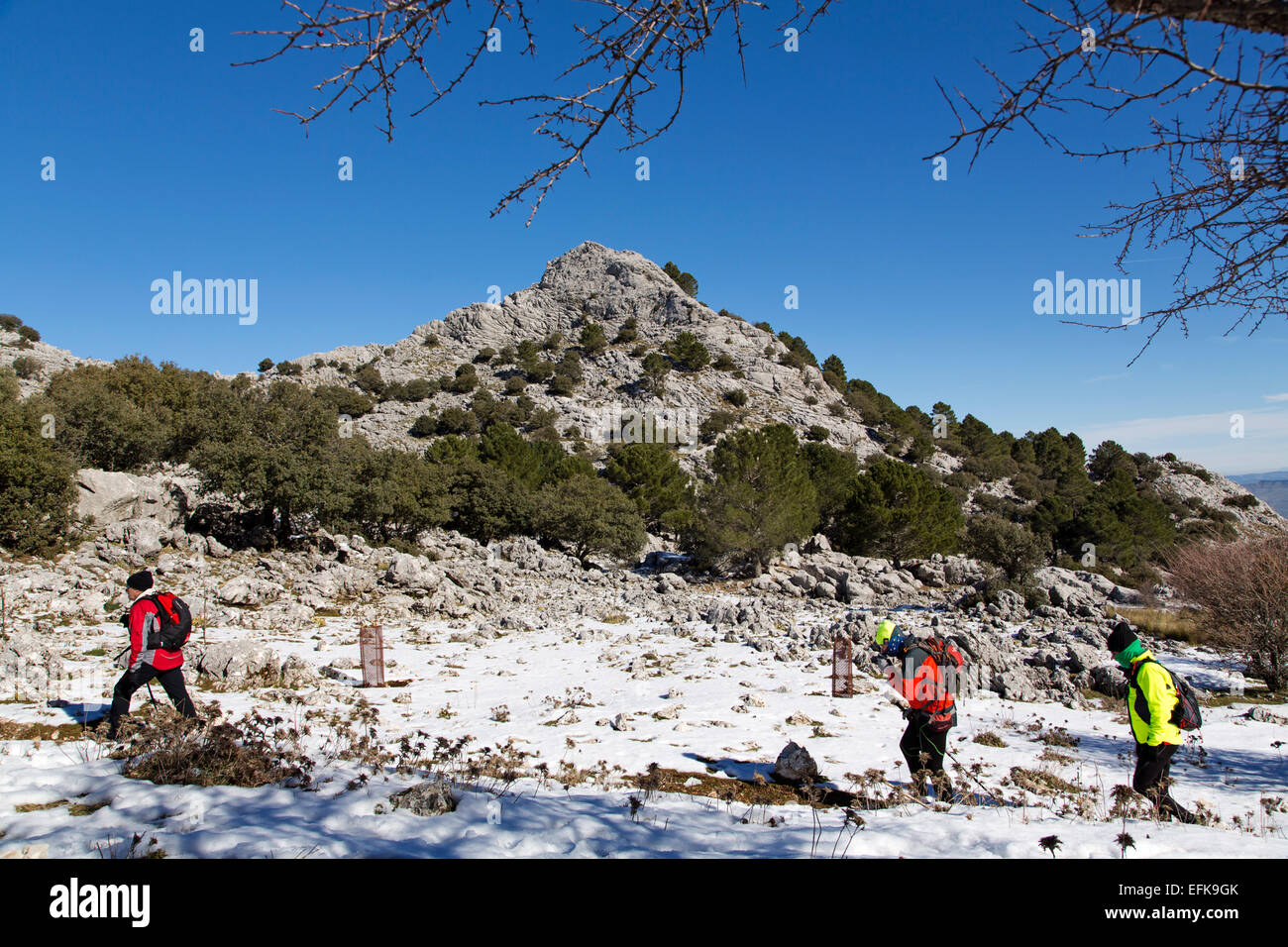 Hikers snow footpath Sierra Grazalema Cadiz Andalusia Spain Stock Photo