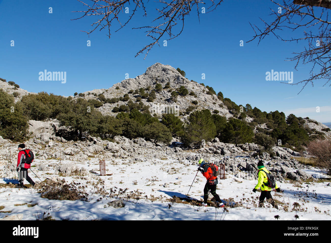 Hikers snow footpath Sierra Grazalema Cadiz Andalusia Spain Stock Photo