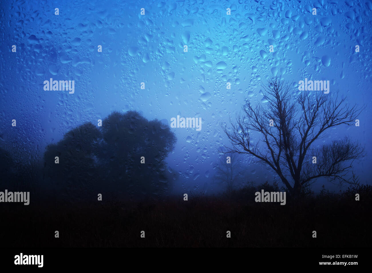 Rainy autumn landscape through a window with raindrops. autumnal mood ...