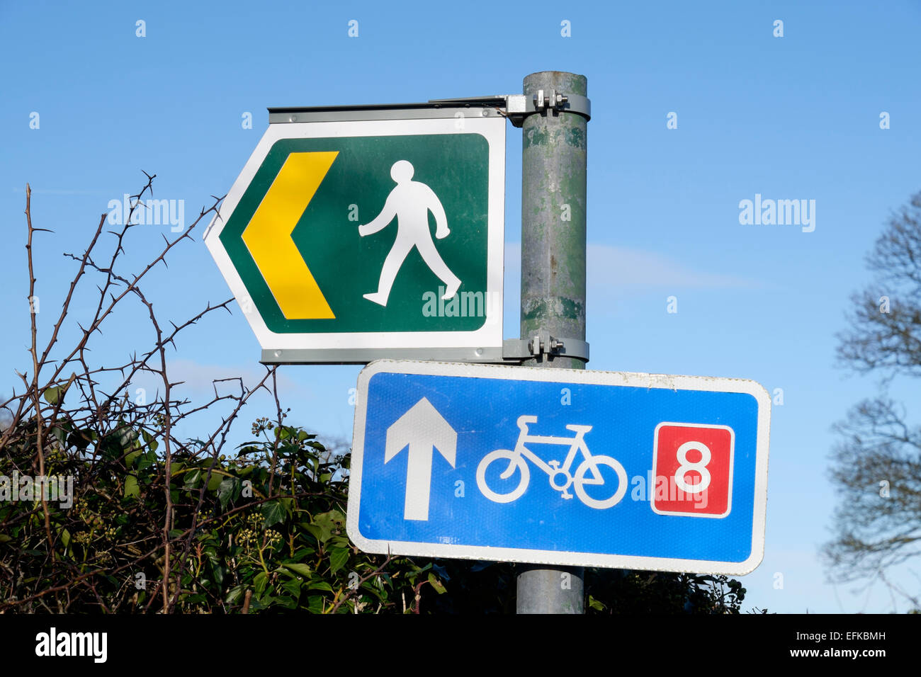 Public footpath sign and cycle route 8 sign on a roadside signpost in a hedge. Llanfair PG, Isle of Anglesey, Wales, UK, Britain Stock Photo