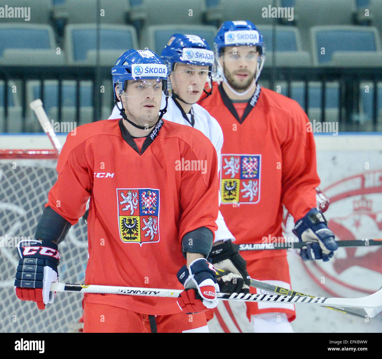 Czech National Ice Hockey Team players (LR) Petr Koukal, Martin Sevc