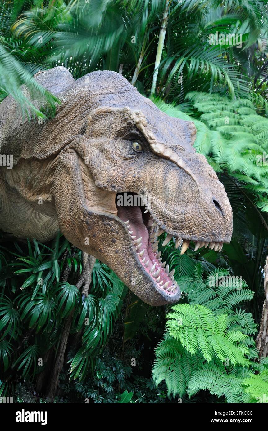 Life sized model of Tyrannosaurus rex at the Jurassic Park ride in Universal Studios, Orlando, Florida, USA Stock Photo