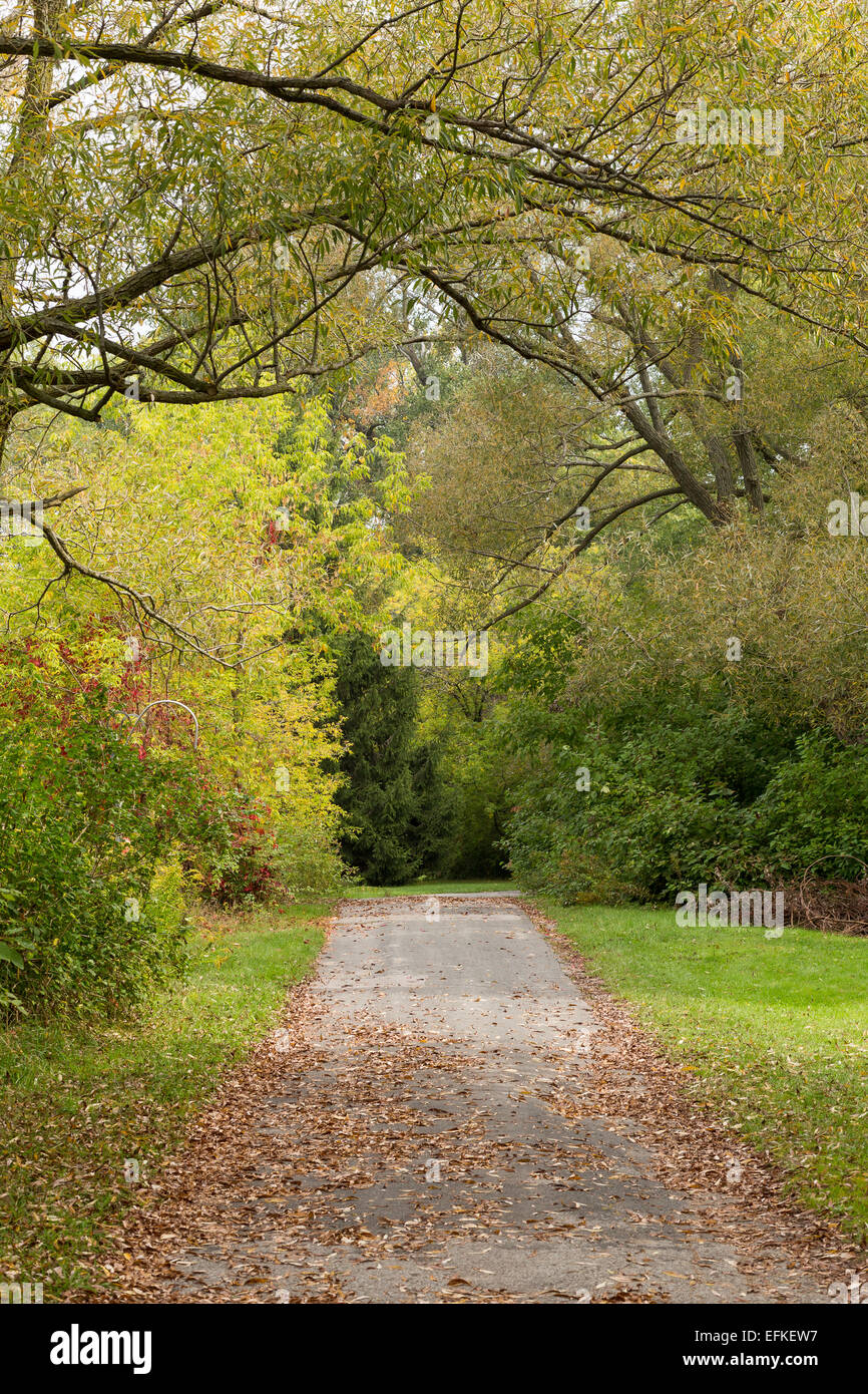 A view of trees in a park at the start of autumn Stock Photo