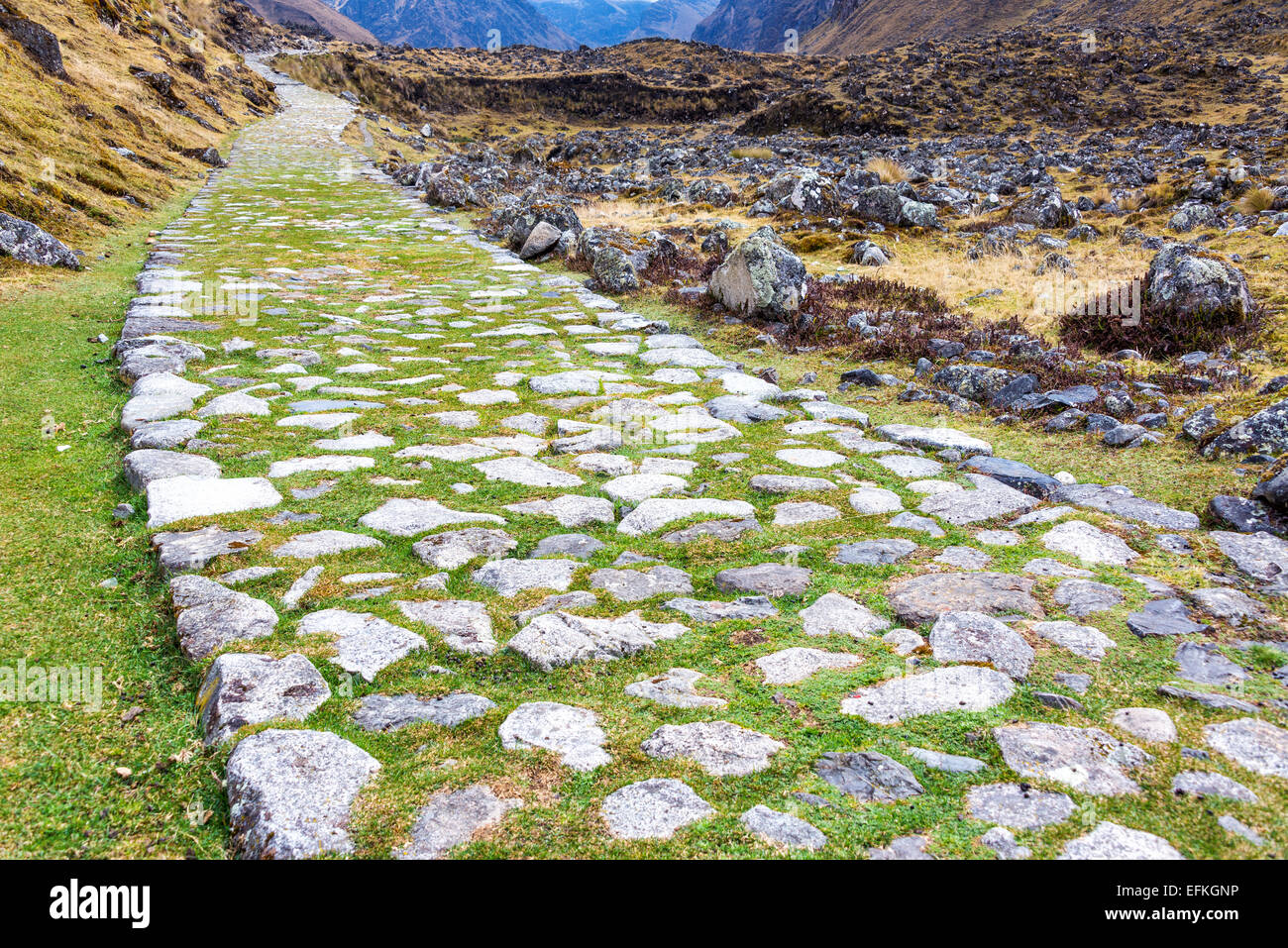 Ancient paved Incan road on the El Choro trek in the Andes mountains near La Paz, Bolivia Stock Photo