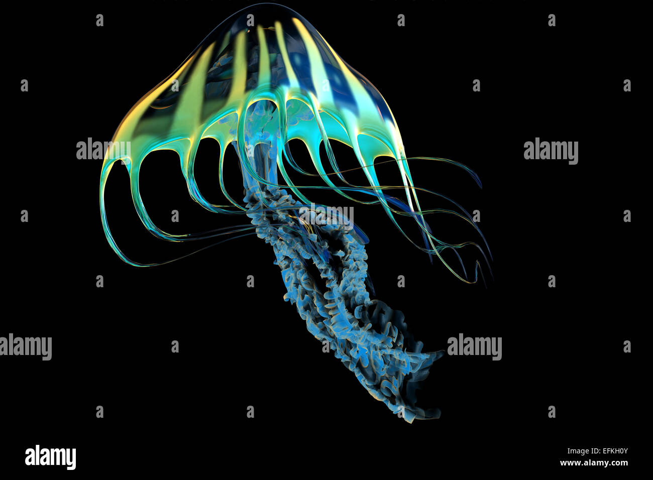 The Jellyfish is a predator of the seas and captures its fish prey with
