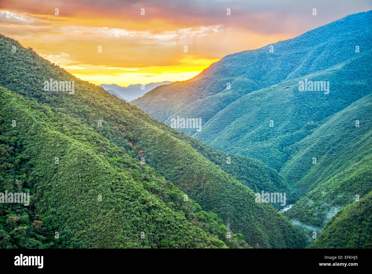 Sunrise of lush green jungle covered hills in Cotopata National Park near Coroico, Bolivia Stock Photo