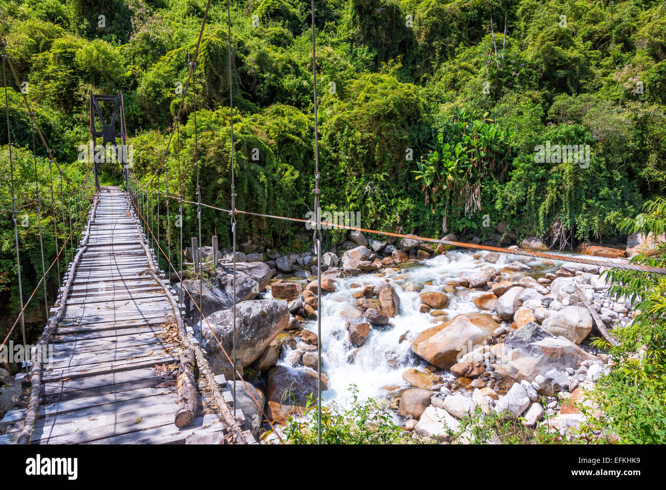 Small suspension bridge in the jungle near Coroico, Bolivia Stock Photo