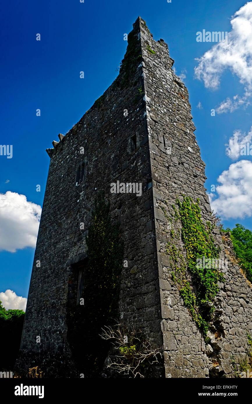 Old abandoned Irish castle on the shores of Lough Derg in Tipperary, Ireland Stock Photo