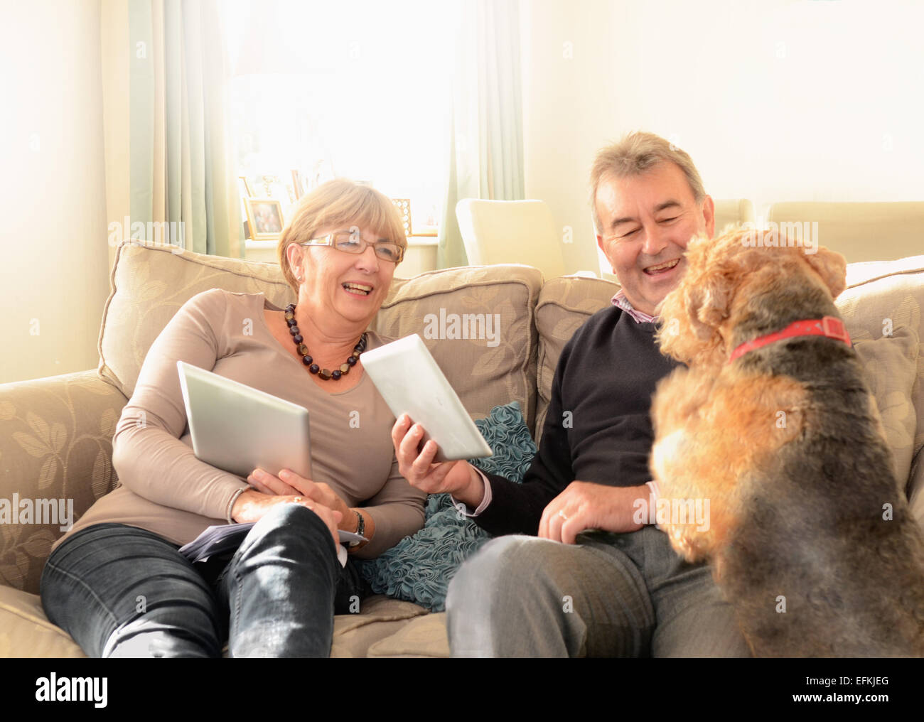 Senior couple at home with dog, using digital tablets Stock Photo