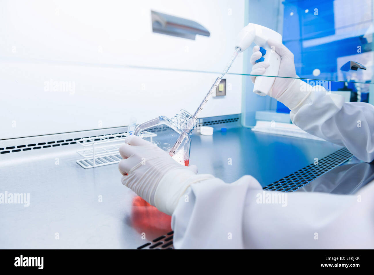 Cancer research laboratory, gloved hands of scientist preparing cells