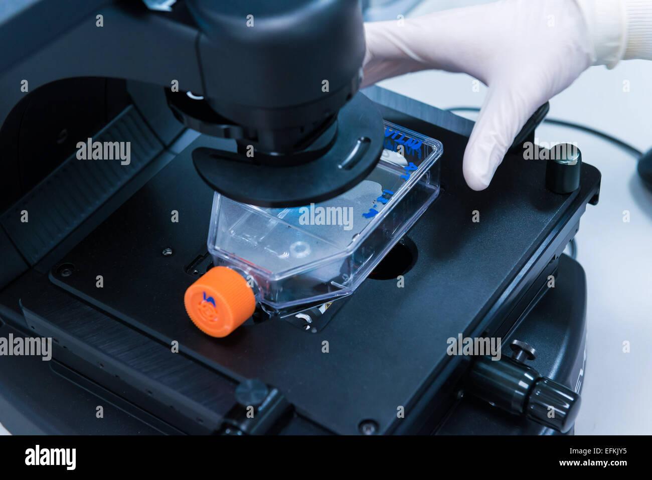 Plastic under microscope hires stock photography and images Alamy