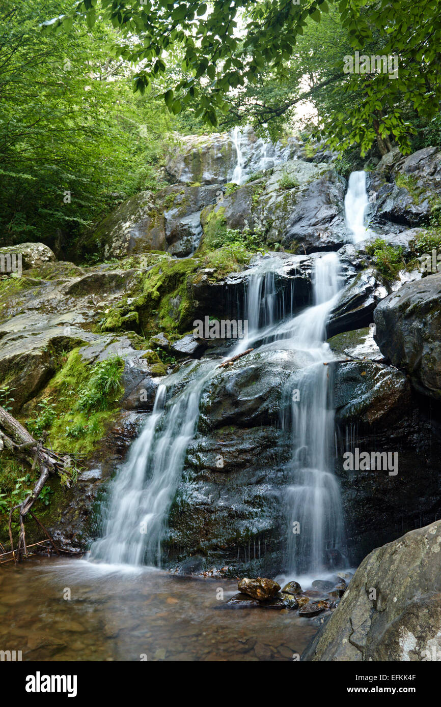 Dark Hollow Falls, Shenandoah National Park, Virginia, USA Stock Photo