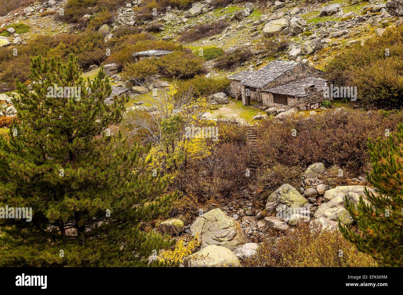 paysage et bergerie corse en automne vallee de la retonica haute corse 2B Stock Photo