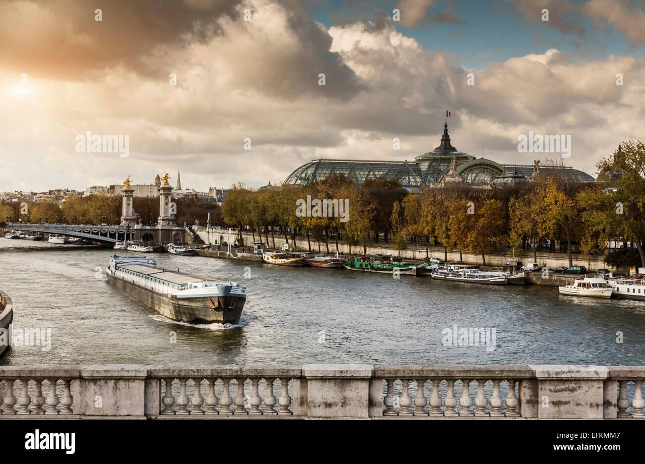 View of river Seine with the Grand Palace in distance, Paris, France Stock Photo