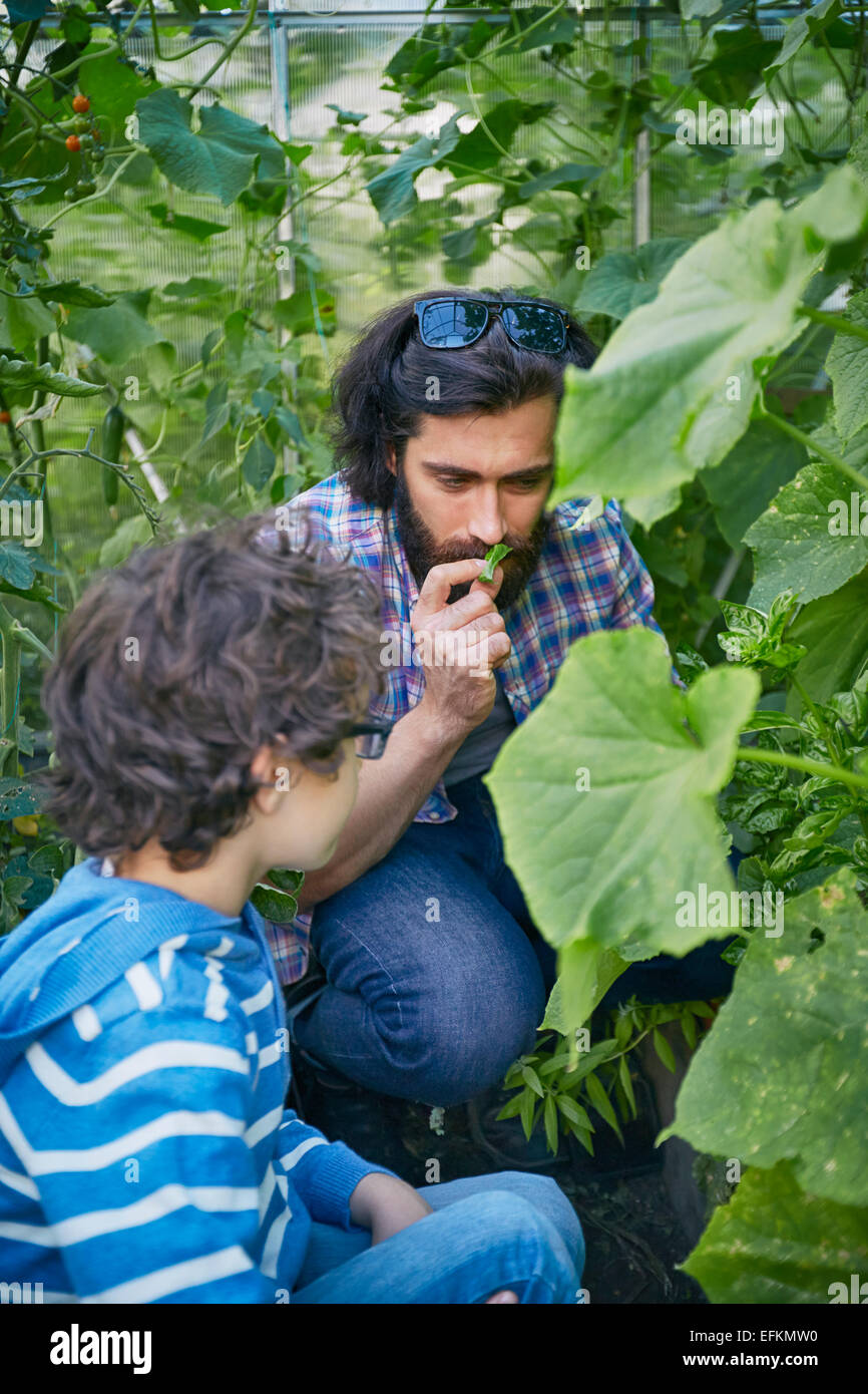 Father and son smelling plants on allotment Stock Photo