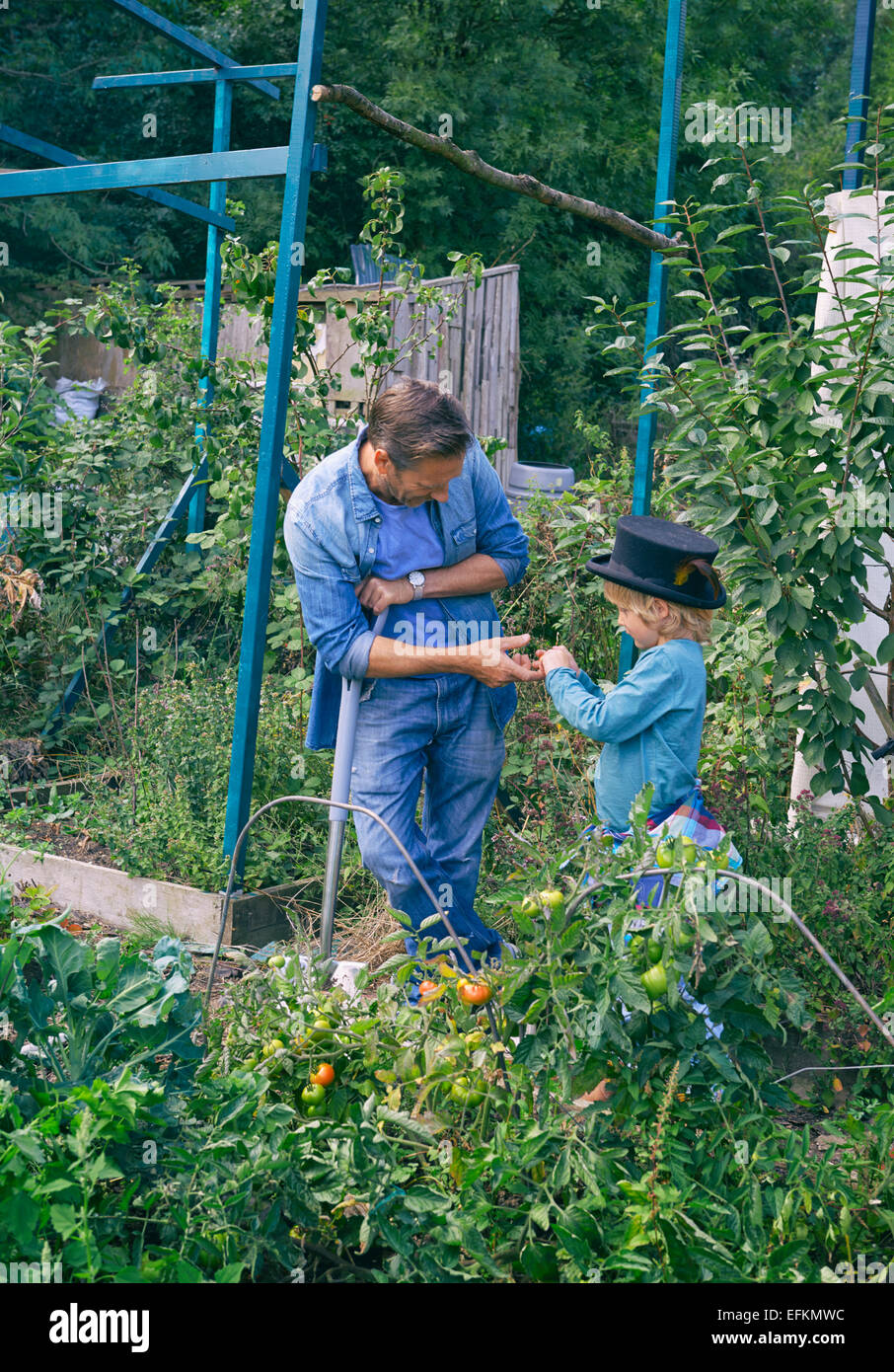 Father and son on allotment Stock Photo