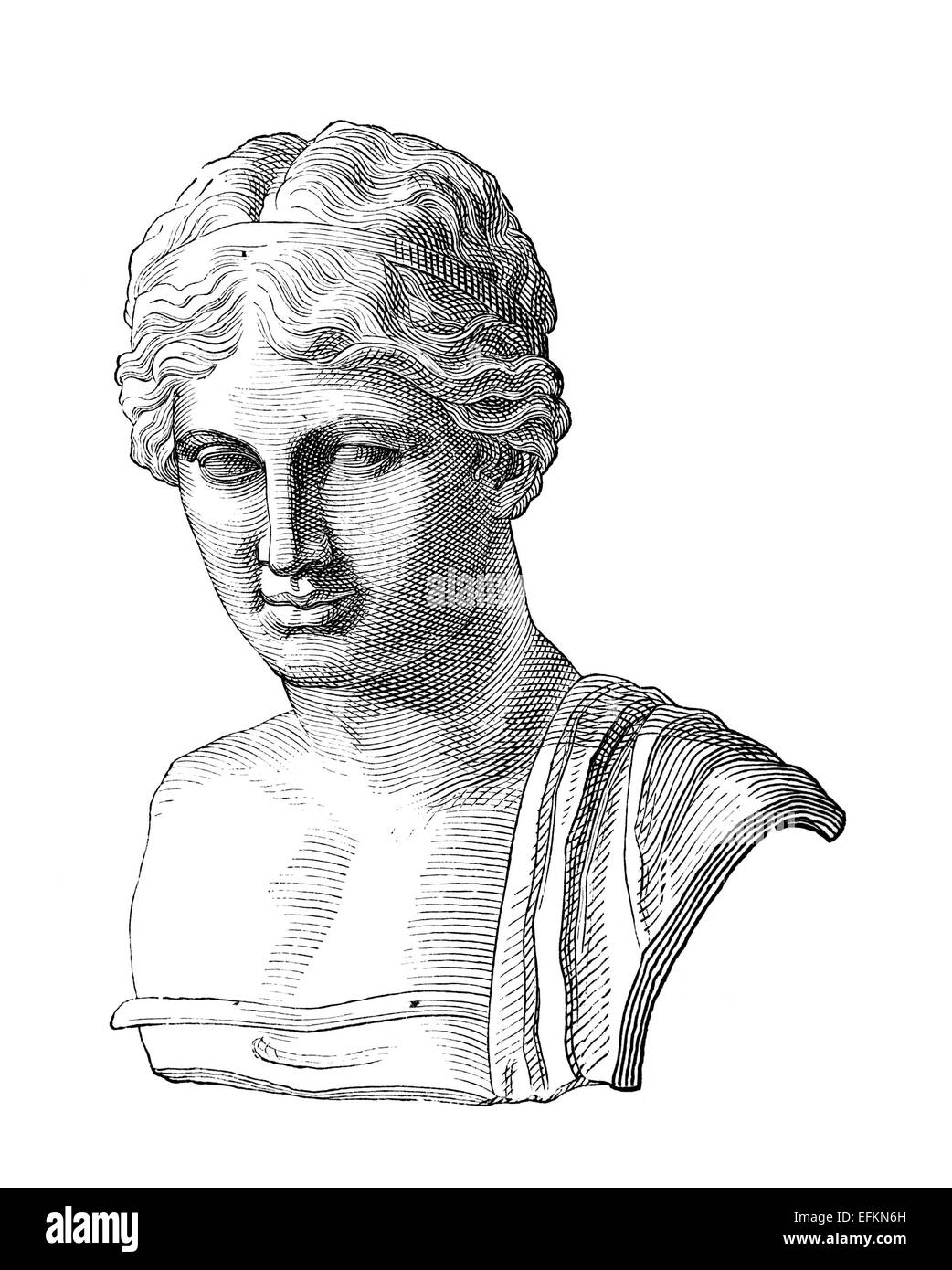 Victorian engraving of a bust of Sappho. Digitally restored image from a mid19th century