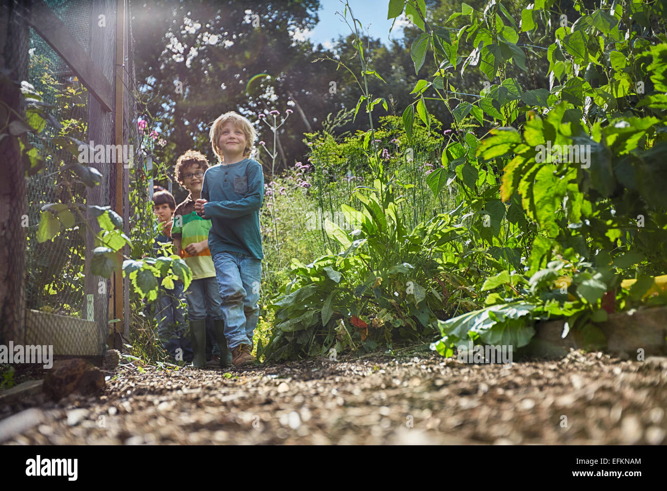Boys playing hide and seek on allotment Stock Photo