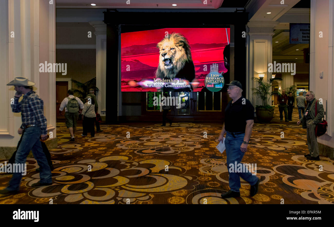 Safari casino club Safari casino club