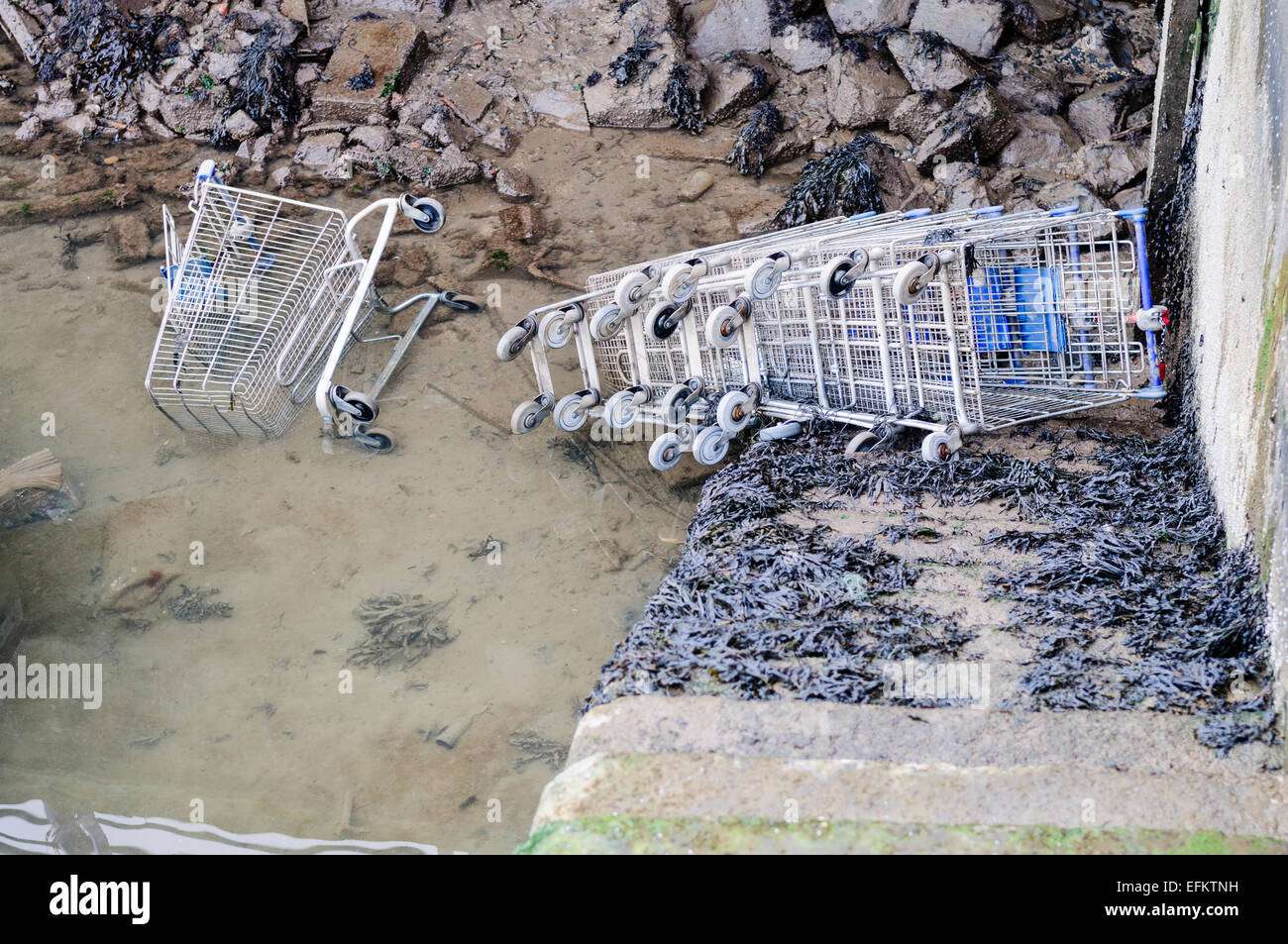 Number of trolleys which have been pushed down steps into the sea. Stock Photo