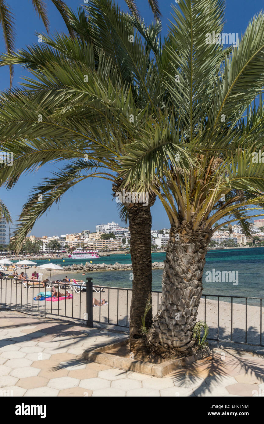 Platja de ses Figueretes, beach, Eivissa, Ibiza, Pityuses, Balearic Islands, Spain, Europe Stock Photo