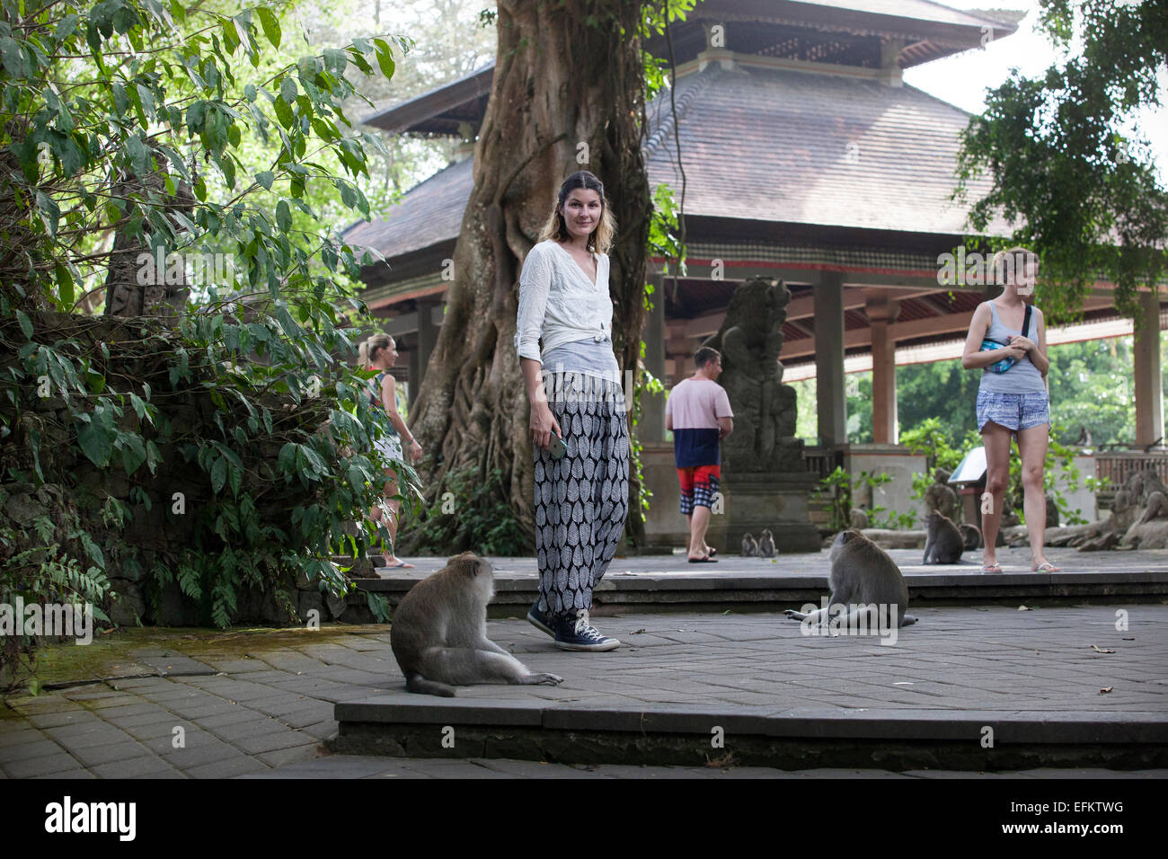 A tourist in the monkey forest in Ubud, Bali, Indonesia Stock Photo