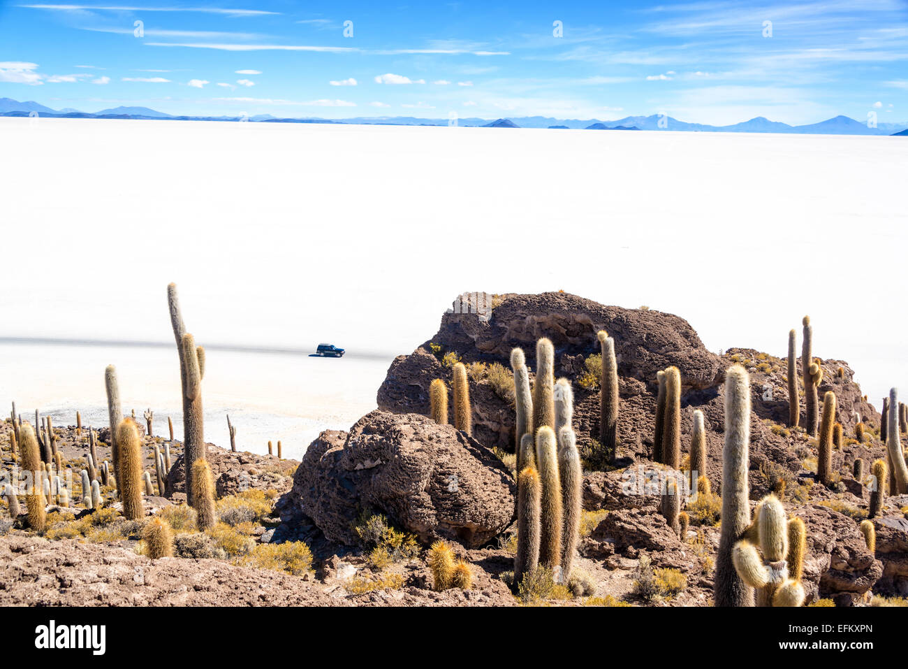 View of the Uyuni Salt Flat as seen from Incahuasi Island with and SUV passing by Stock Photo