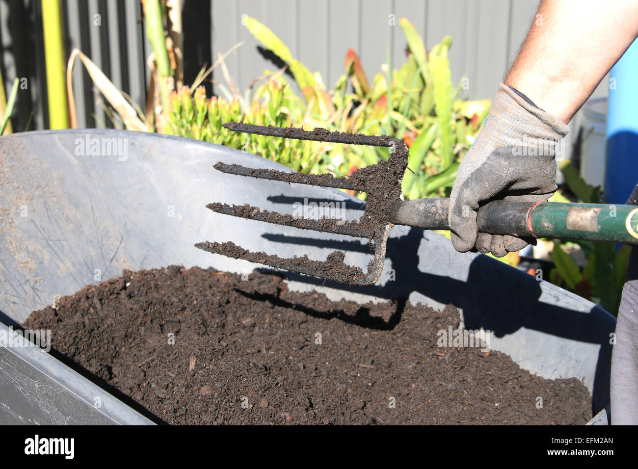 Mixing Soil with Garden Fork Stock Photo - Alamy