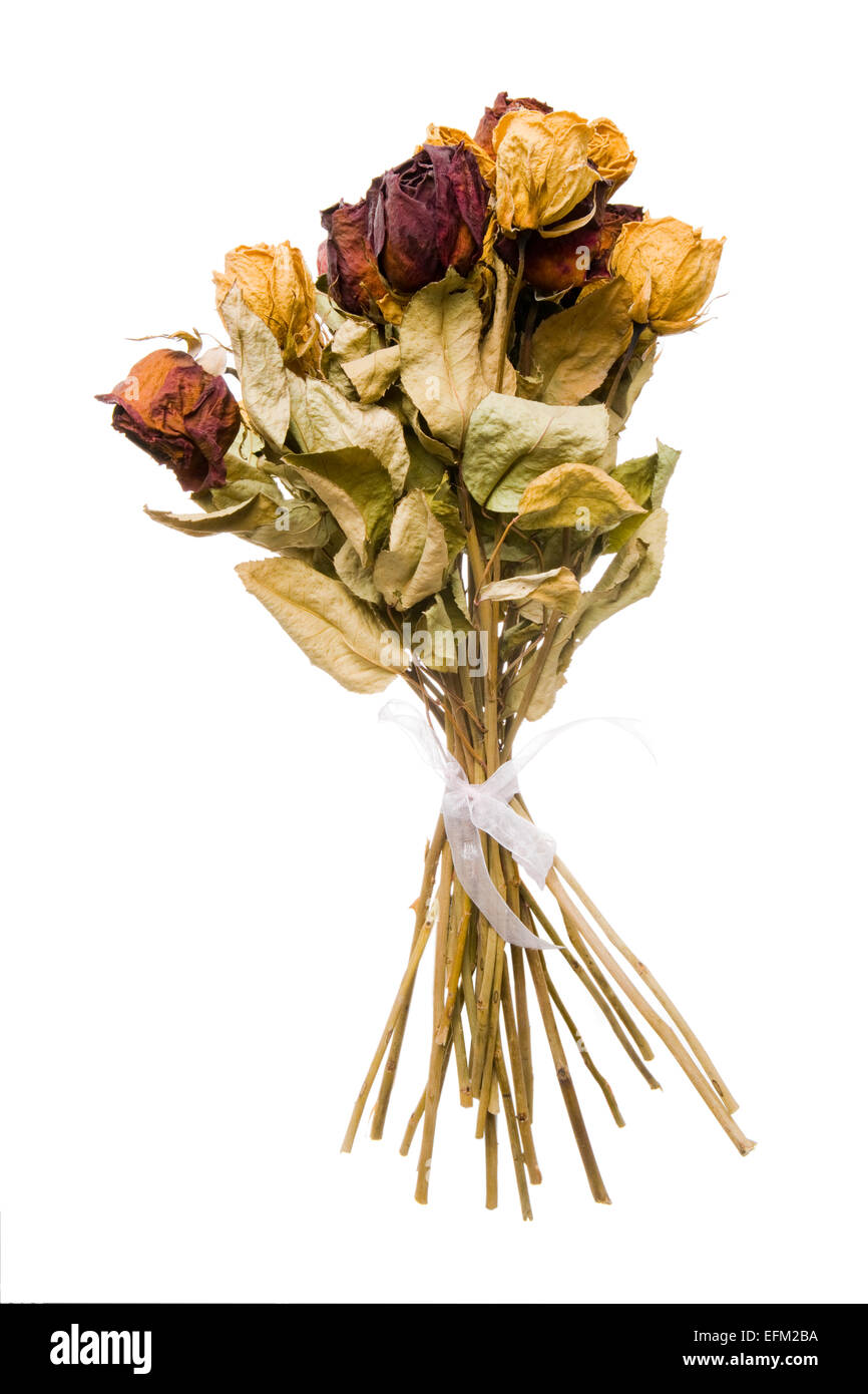 Dead bouquet hires stock photography and images Alamy