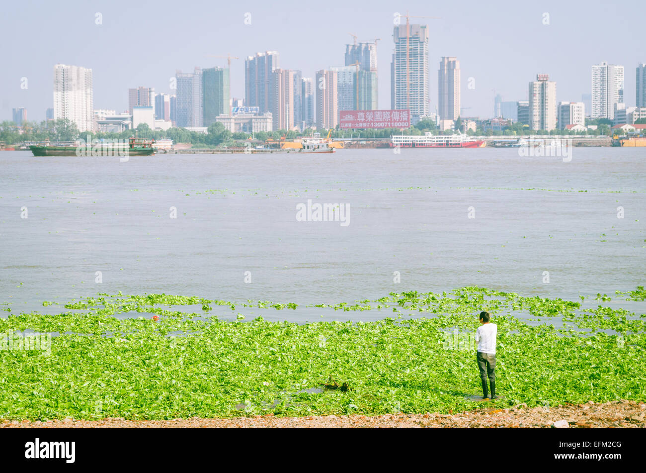 Yangtze or yangzi river bank in Wuhan city. Stock Photo