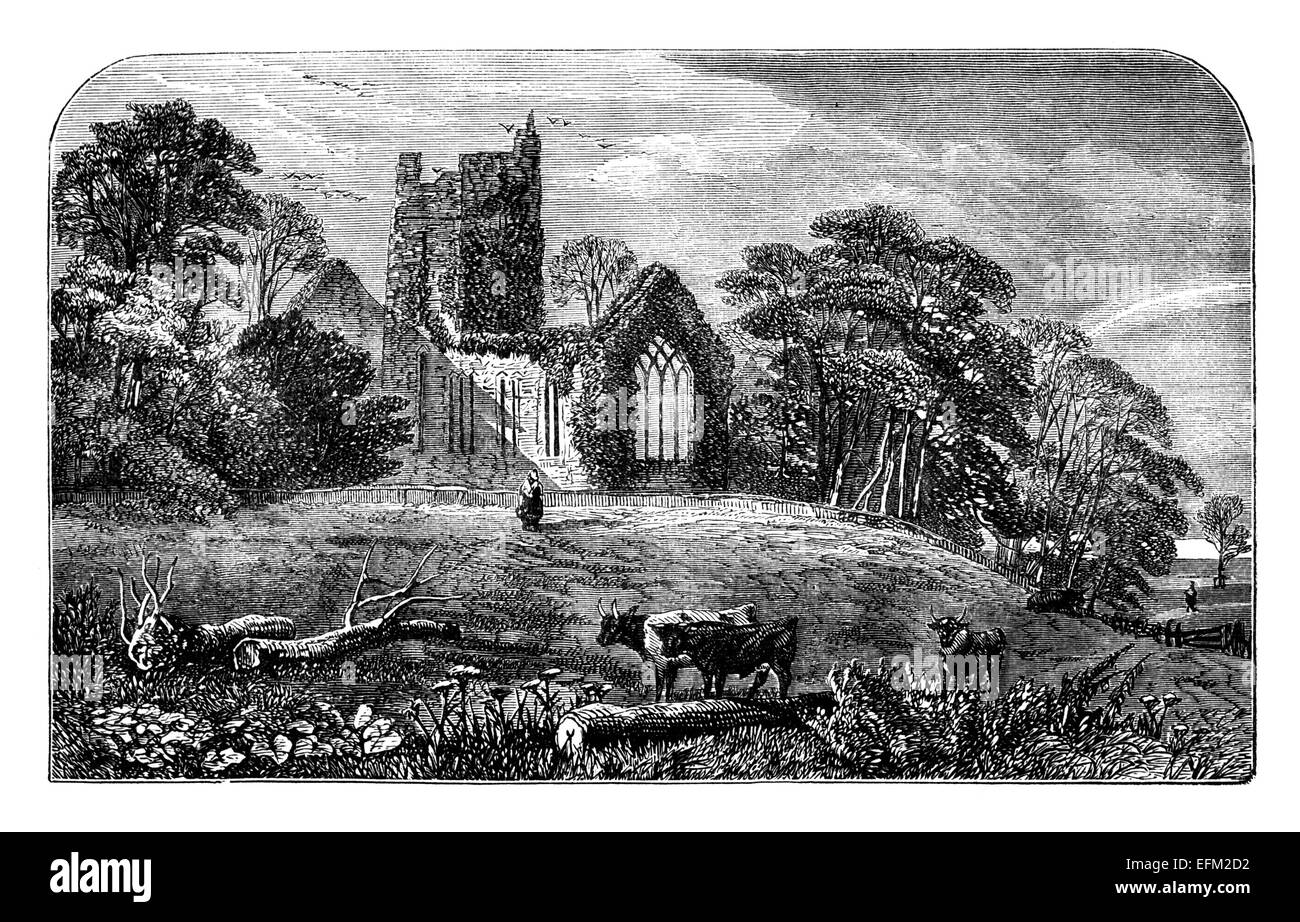 19th century engraving of the ruins of Muckross Abbey, Killarney, Ireland Stock Photo