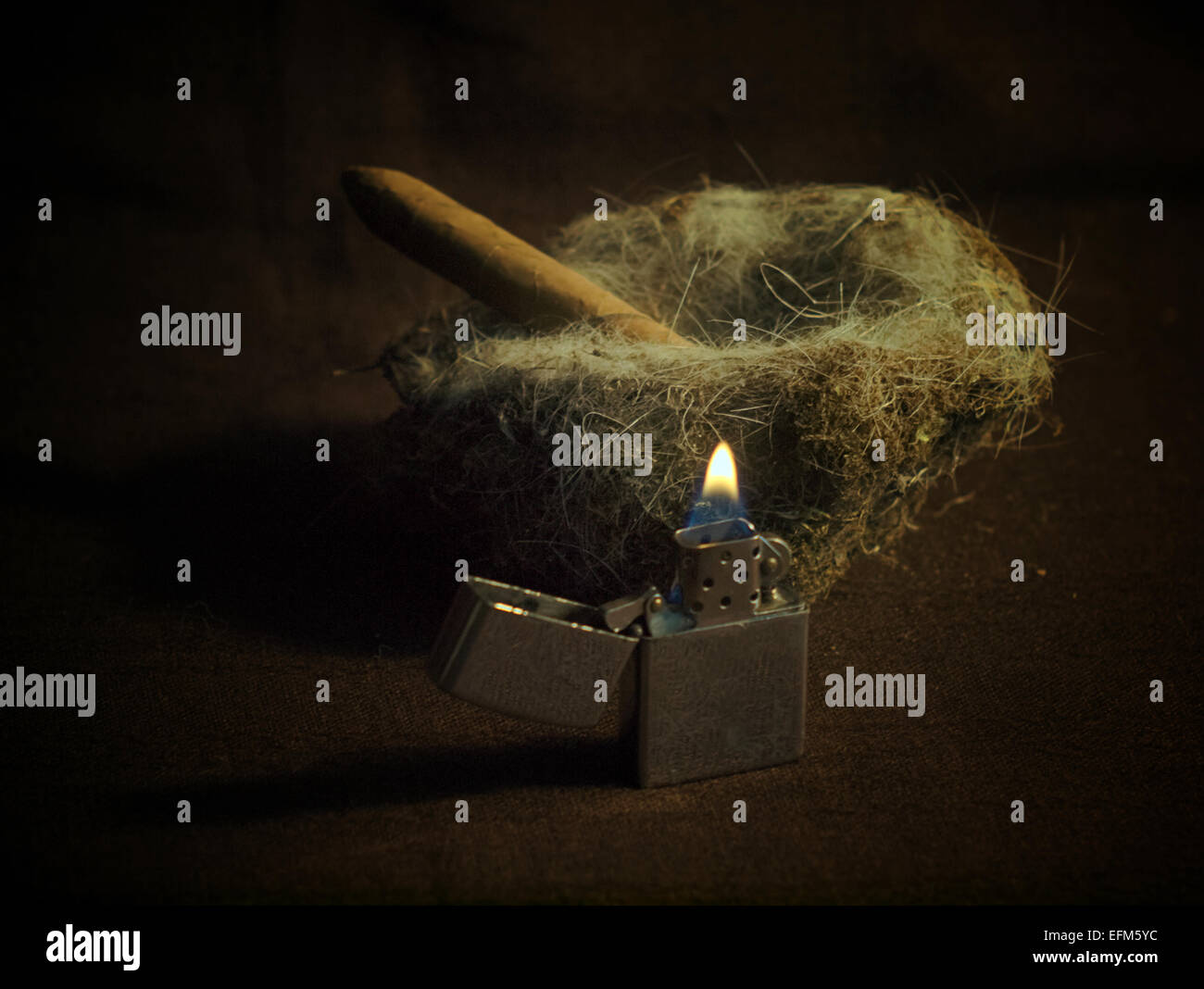 Lighter burns, but neither flammable substance is still not caught