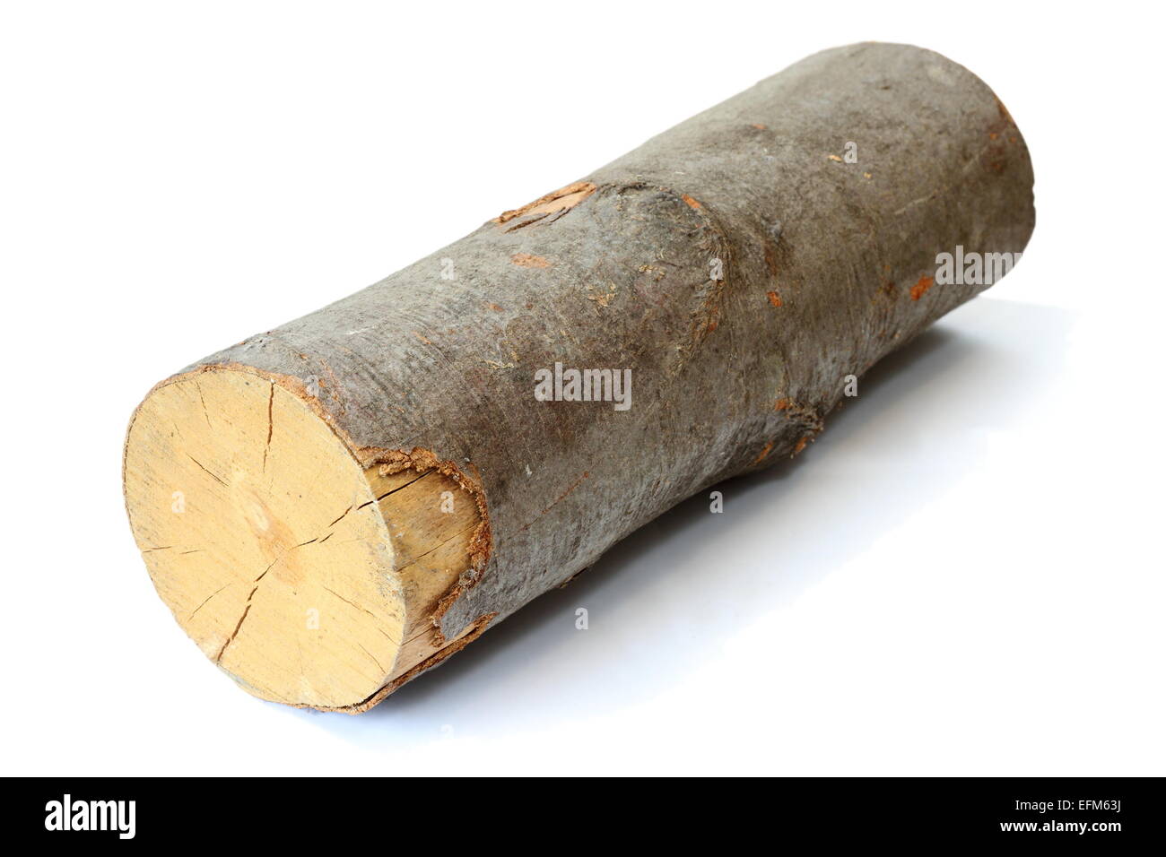 piece of firewood ( beech wood ) with shadow over white background Stock Photo