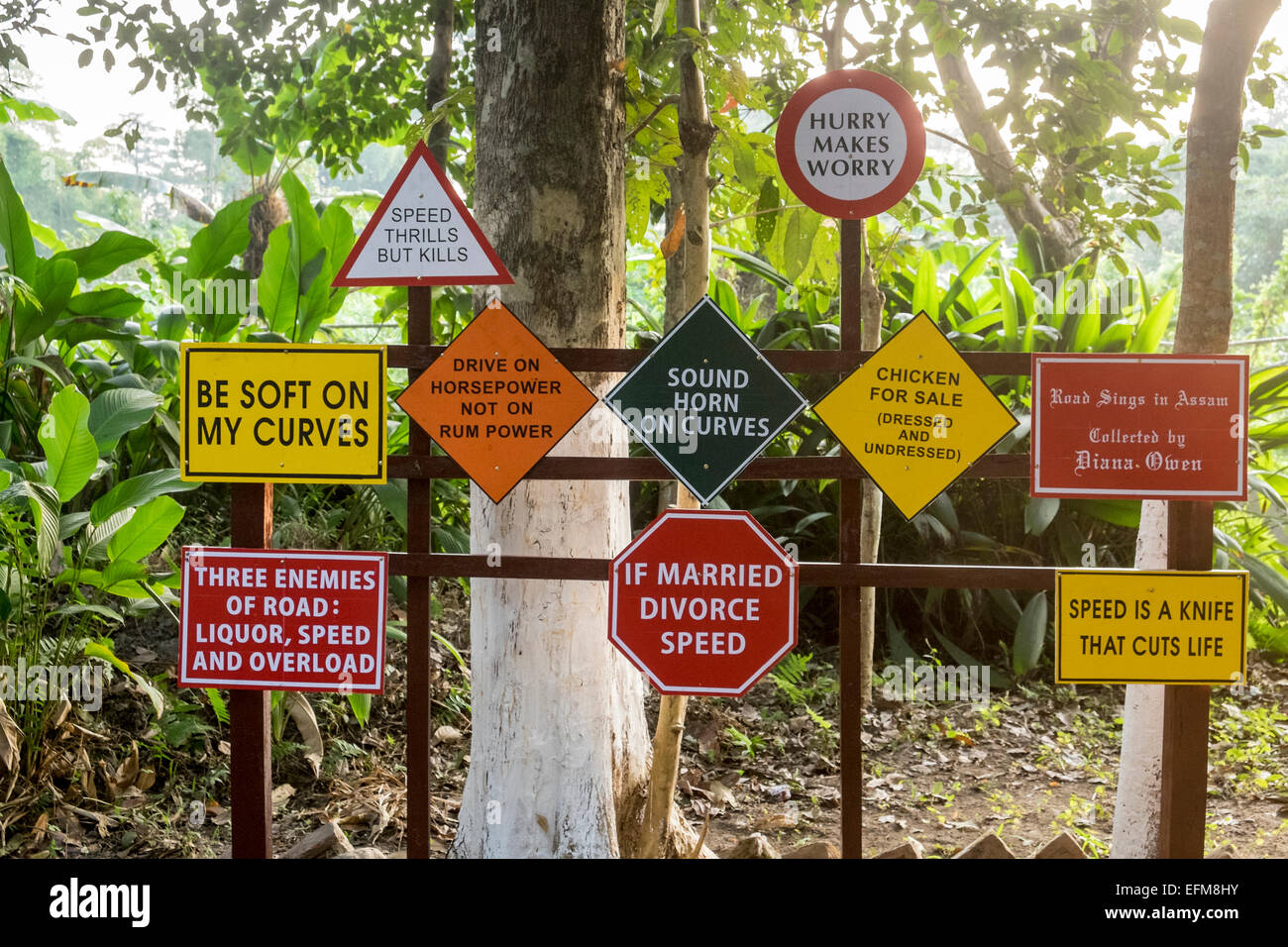 A collection of roadside traffic warning signs often seen by roads in