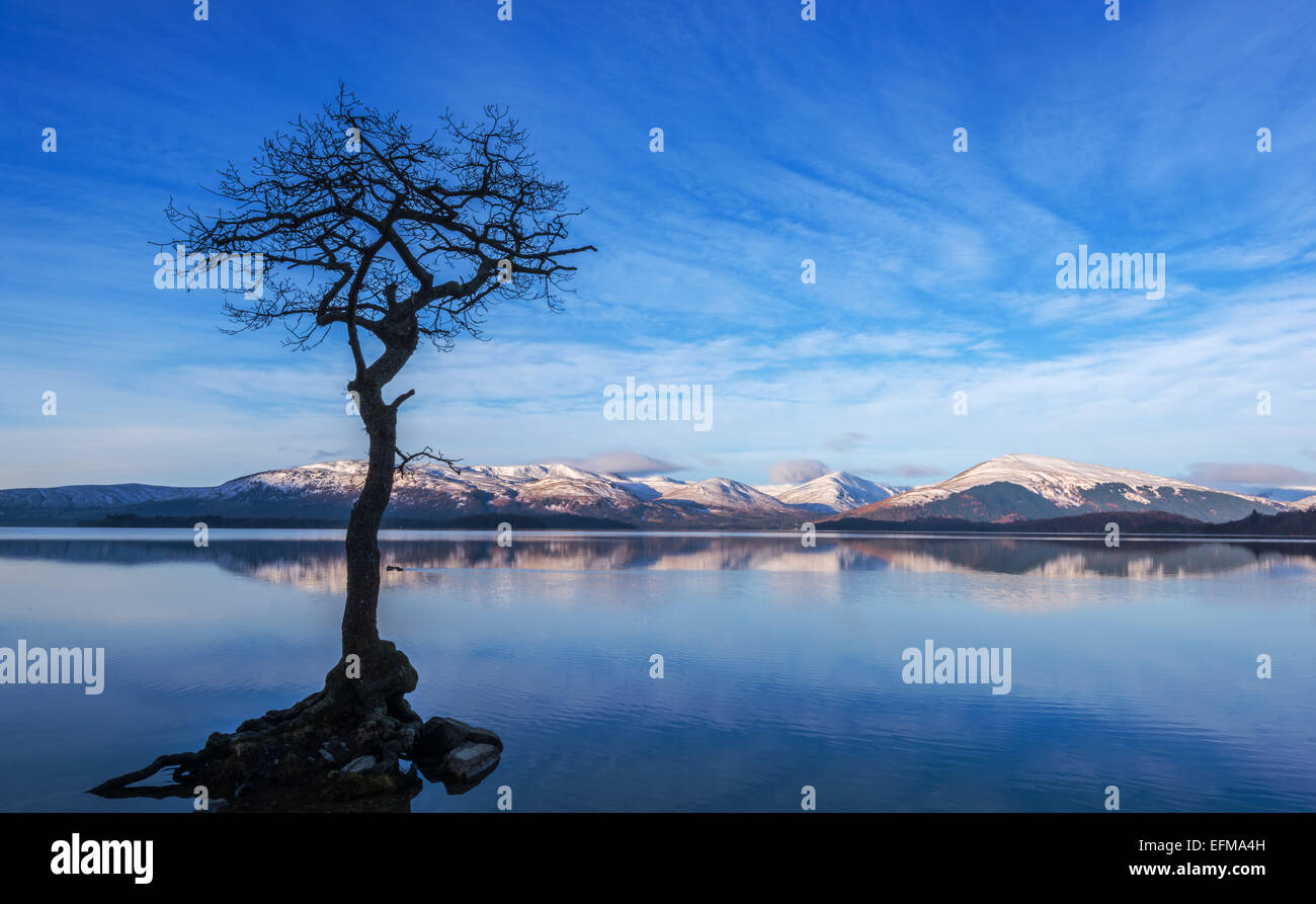 Millarochy Bay on Loch Lomond, Balmaha, Scotland, UK Stock Photo