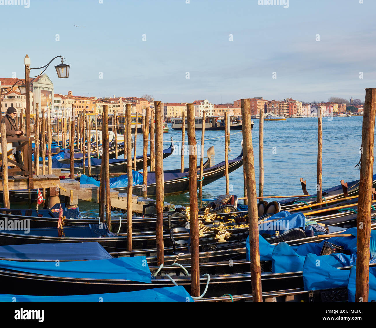 Blue covered gondolas moored on lagoon waterfront Venice Veneto Italy ...