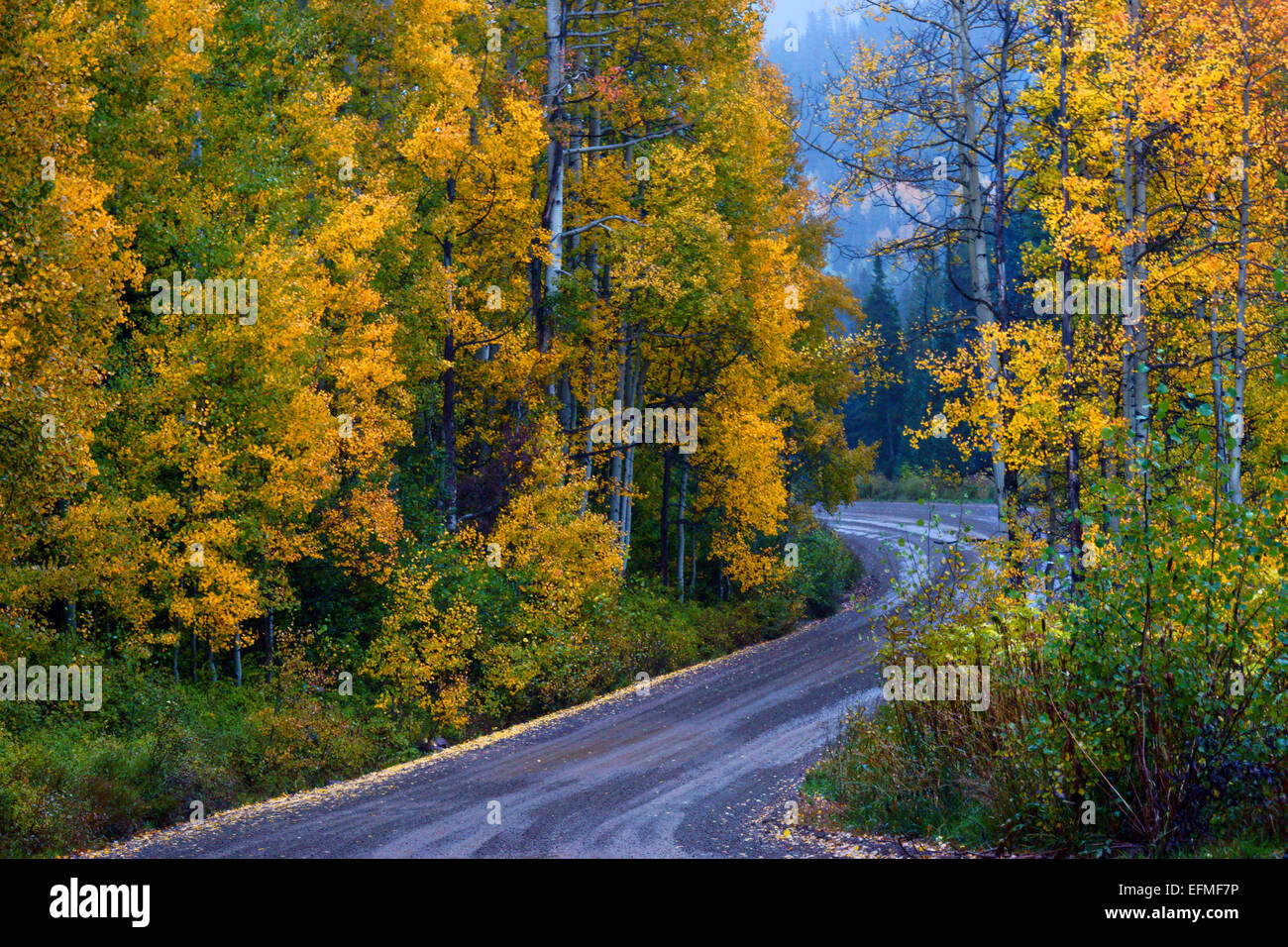 Crested butte to aspen hires stock photography and images Alamy