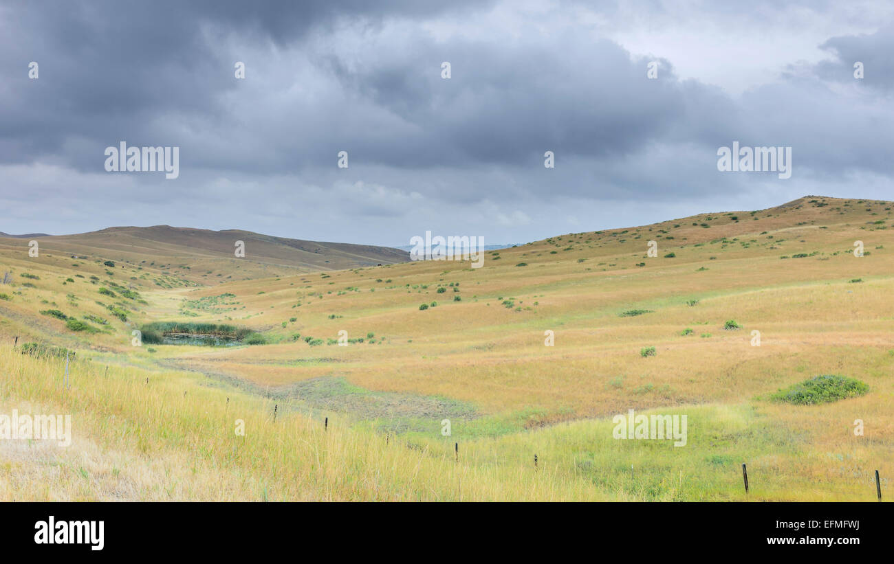 Open prairie grassland, and dry scrub and hills under a threating sky