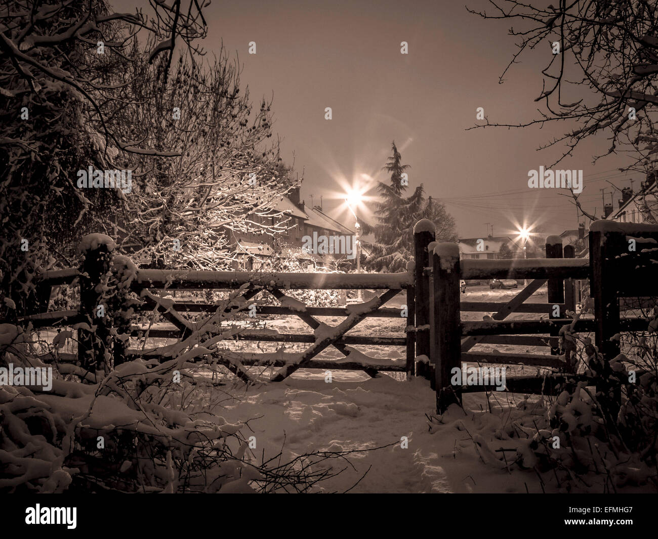 Snow scene at night Stock Photo Alamy