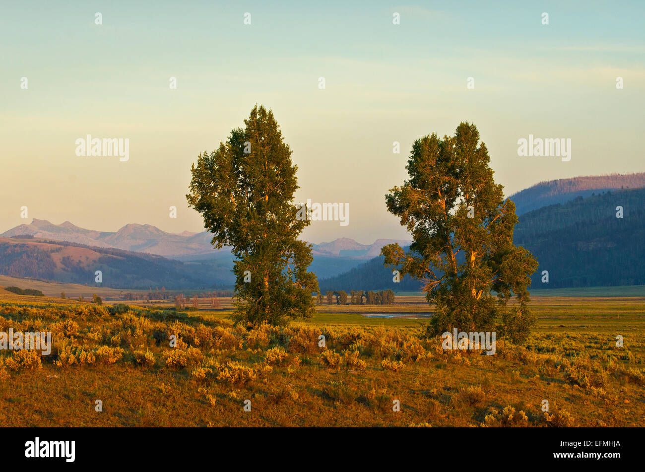 Lamar valley, wyoming hi-res stock photography and images - Alamy