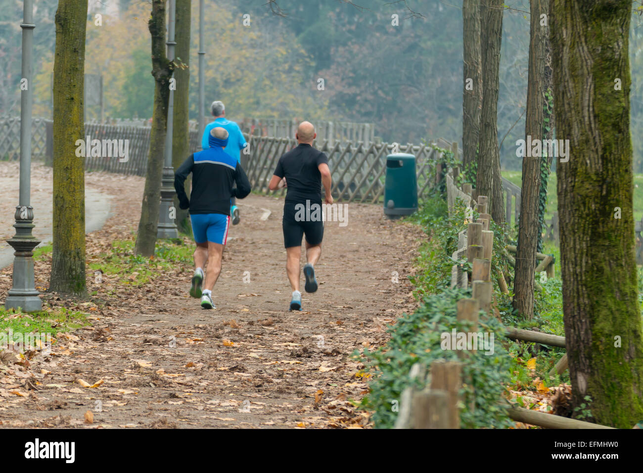 Men jogging in park in autumn. Health and fitness Stock Photo