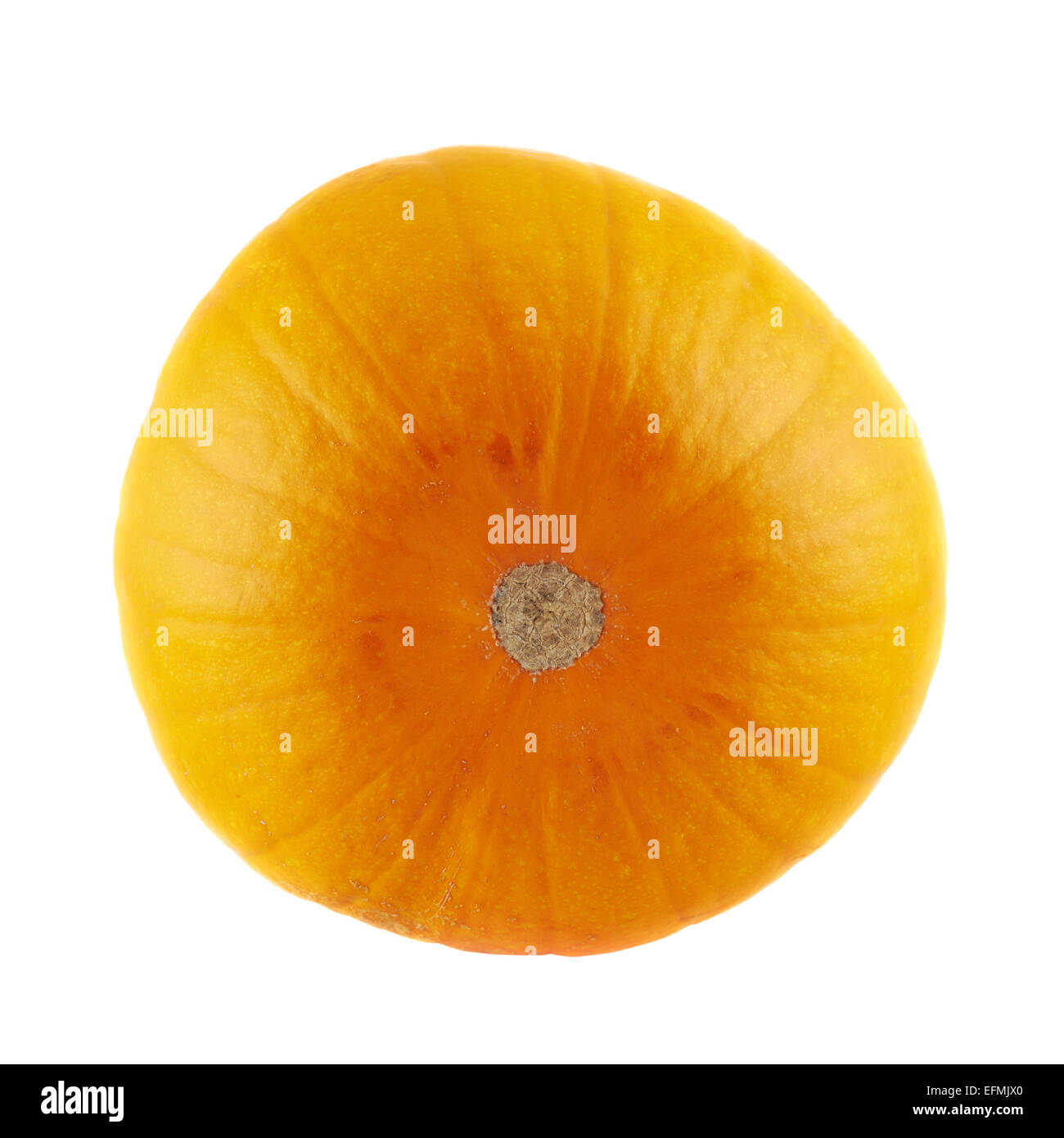 Ripe orange pumpkin isolated Stock Photo Alamy