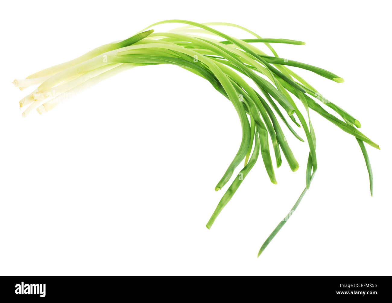 Fresh green onion isolated Stock Photo