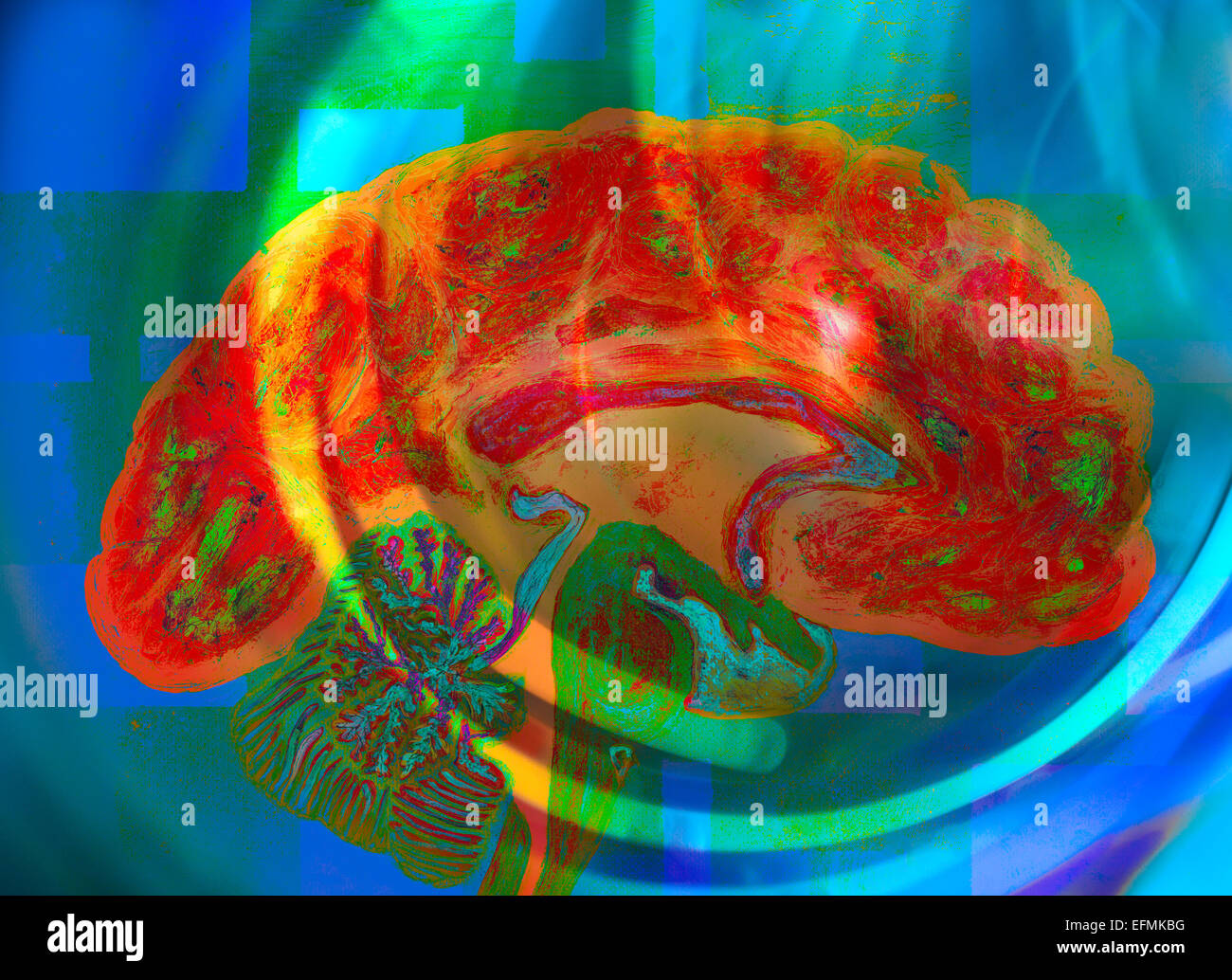Brain illustration with bright colors Stock Photo