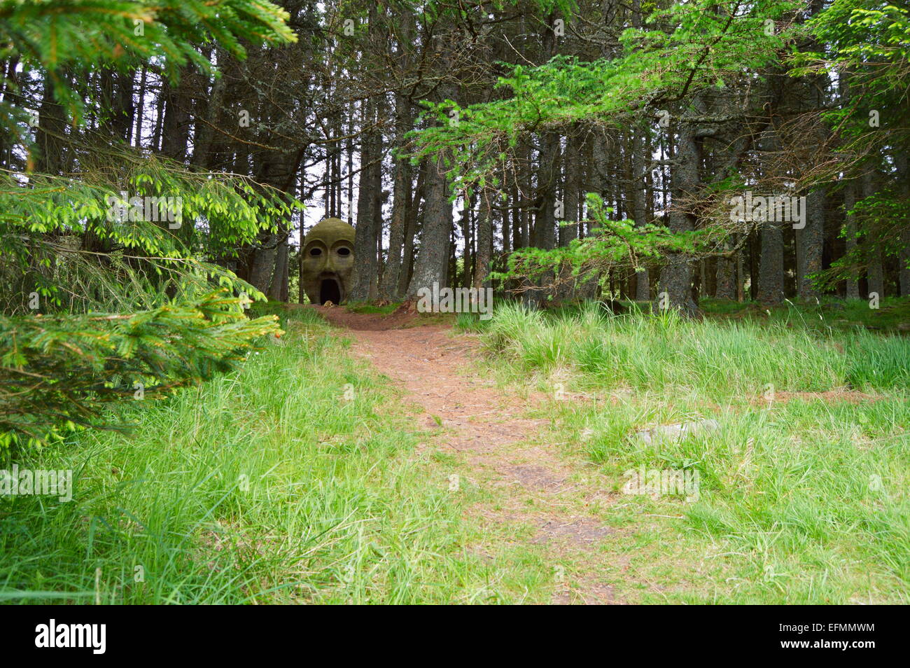 Forest Head, Silvas Capitalis, Kielder. SIMPARCH 2009 Stock Photo Alamy