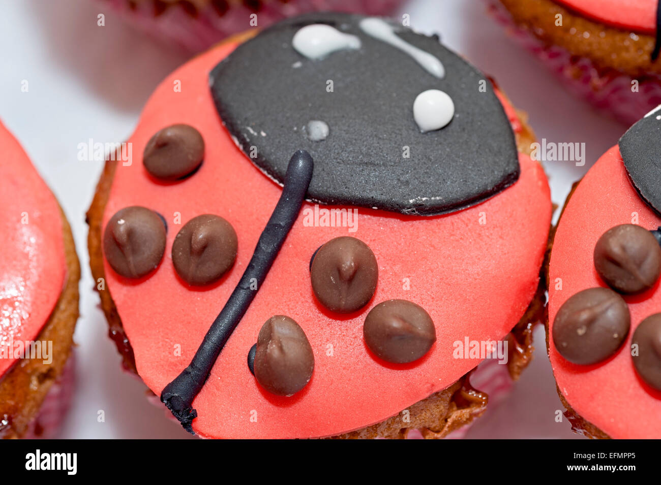 a homemade ladybird cupcake in a cake box Stock Photo