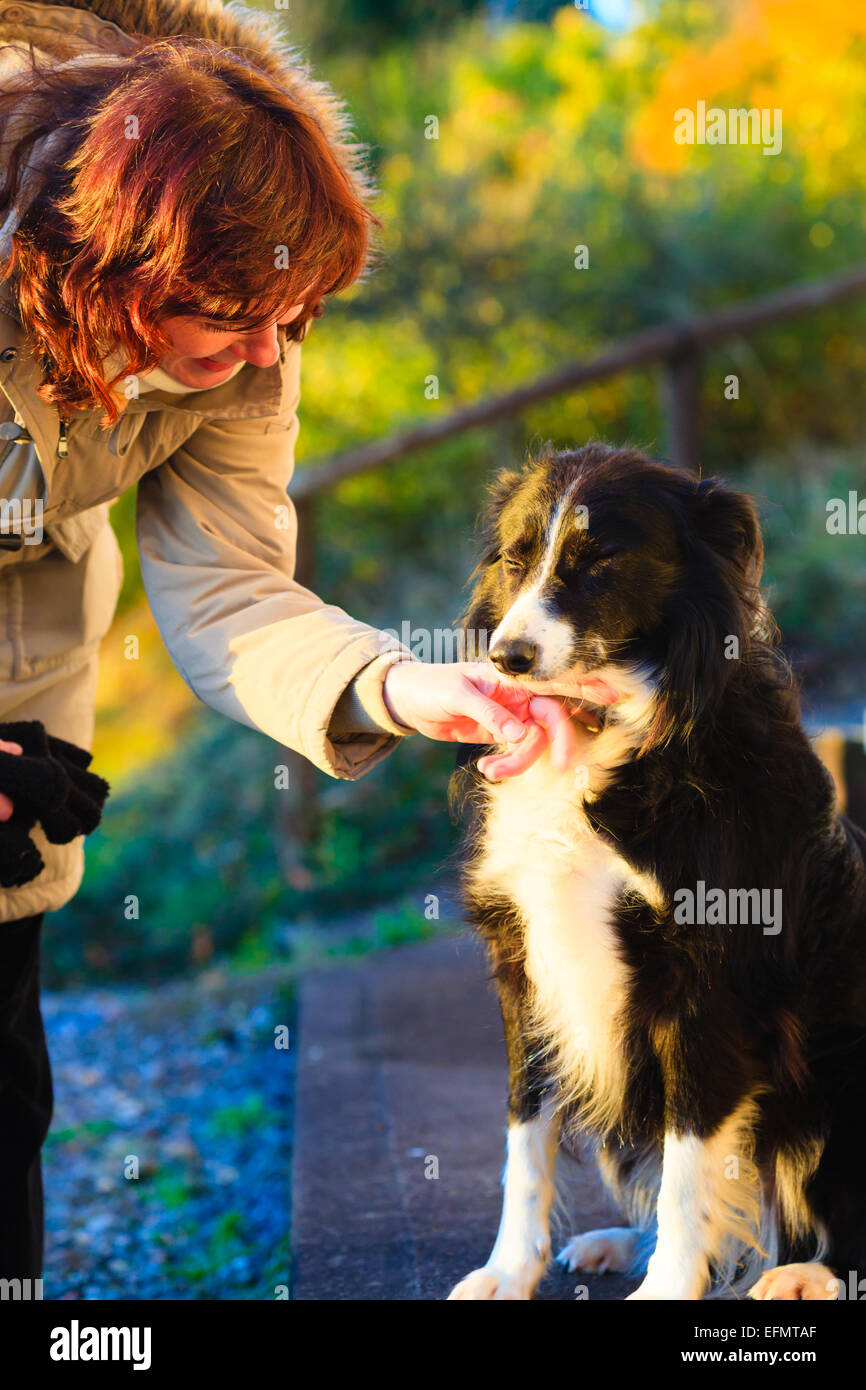 woman playing in the garden with her dog outdoor Stock Photo - Alamy