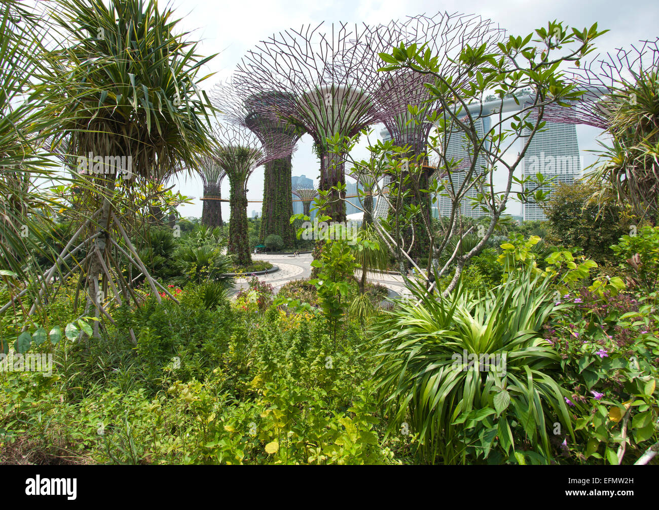 Gardens by the bay in Singapore. Stock Photo