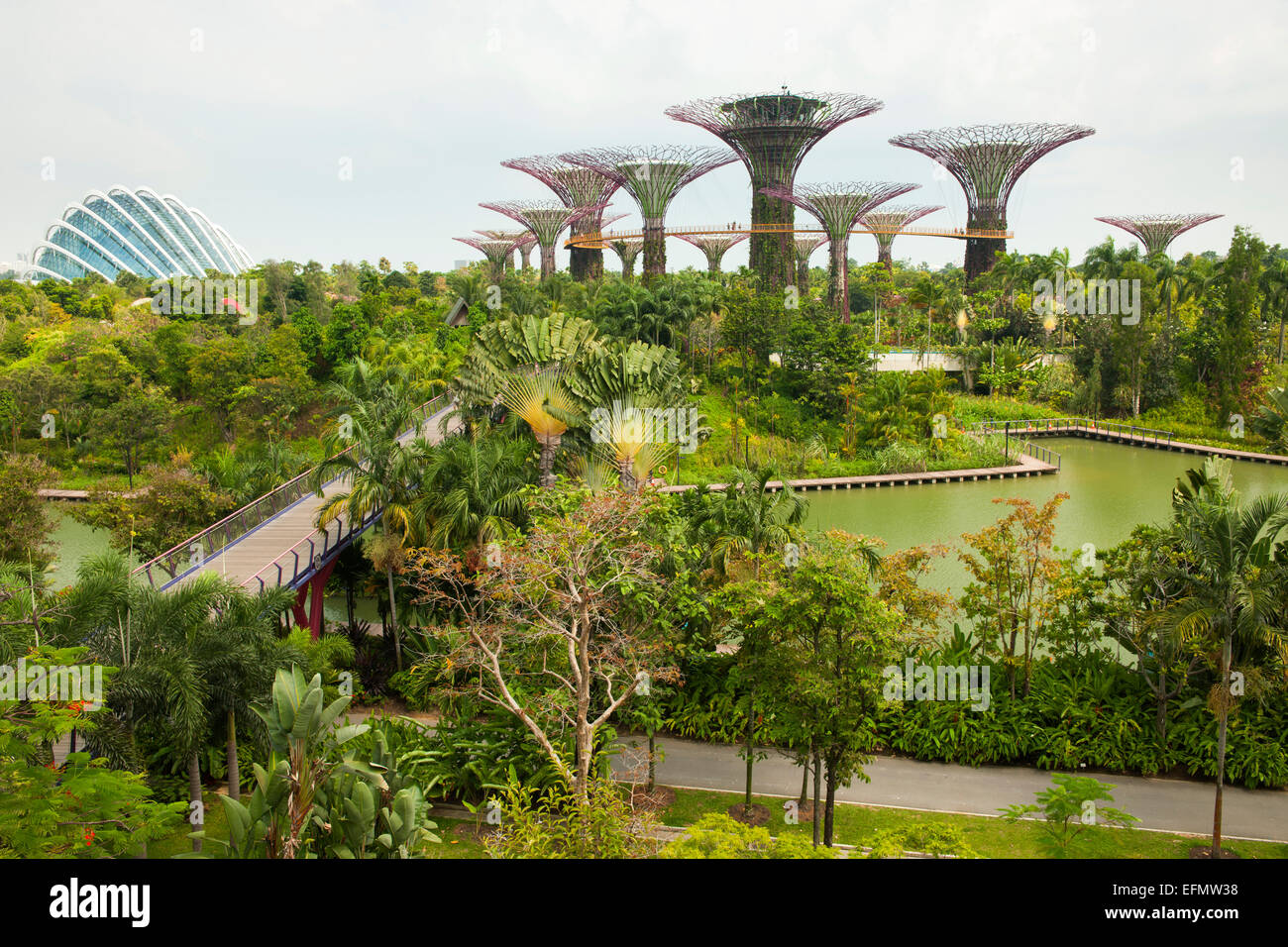 View of Supertree Grove in the Gardens by the Bay park in Singapore. Stock Photo