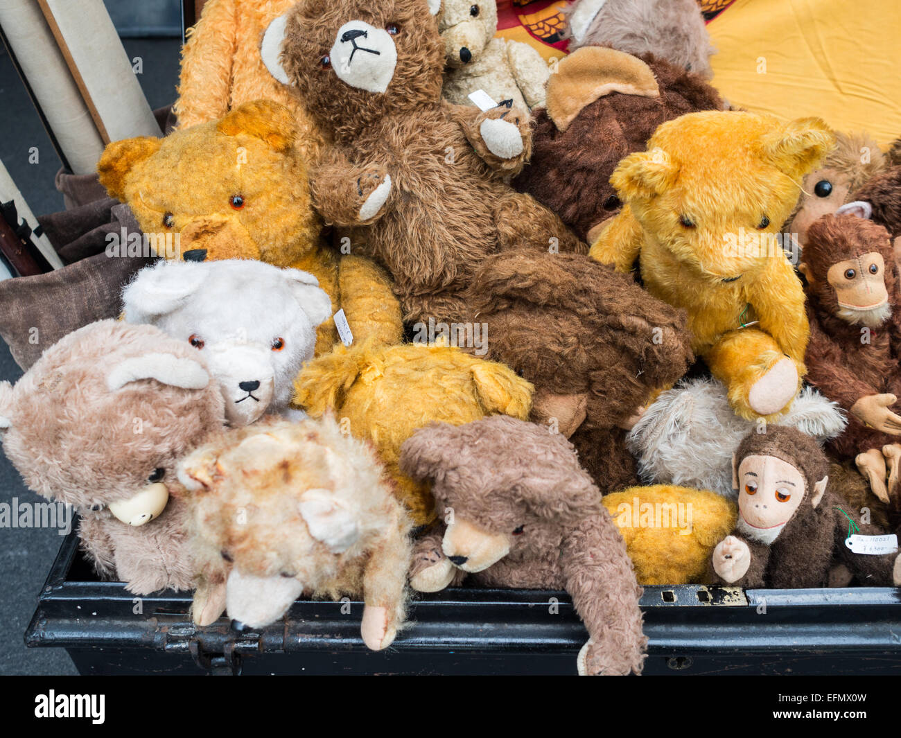 teddy market